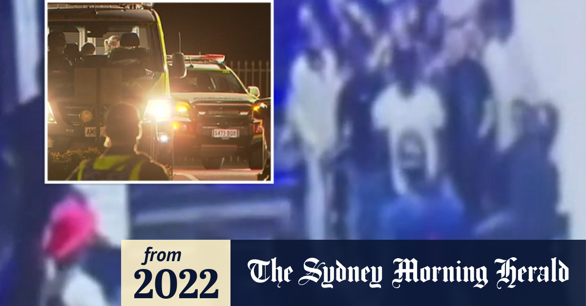 Video Police hunt gang members after Adelaide bar brawl